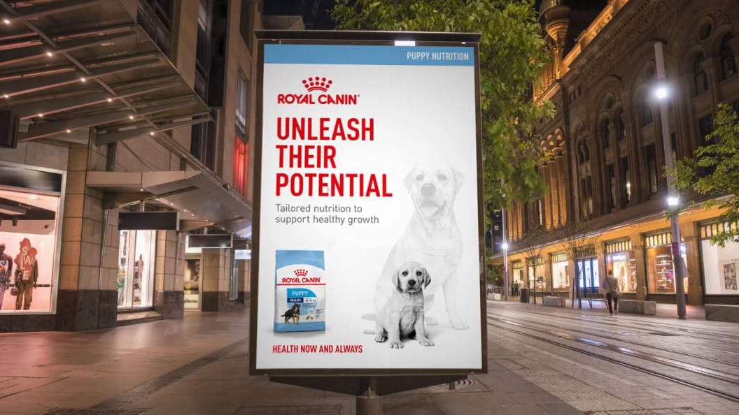 royal-canin_1.jpg